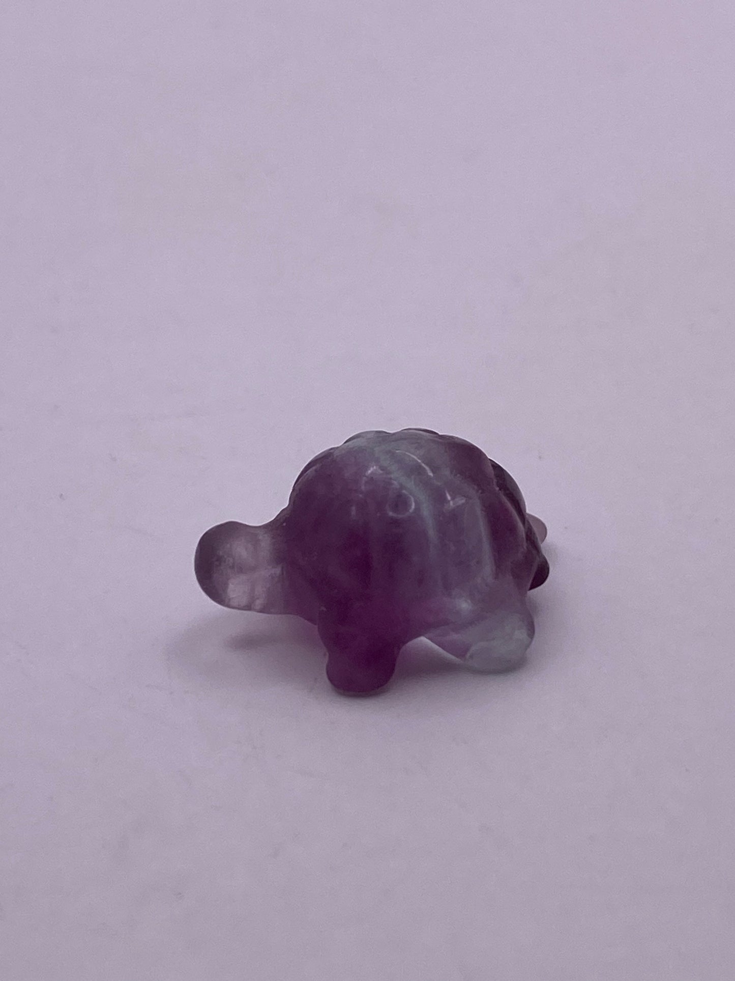 Fluorite mini turtle