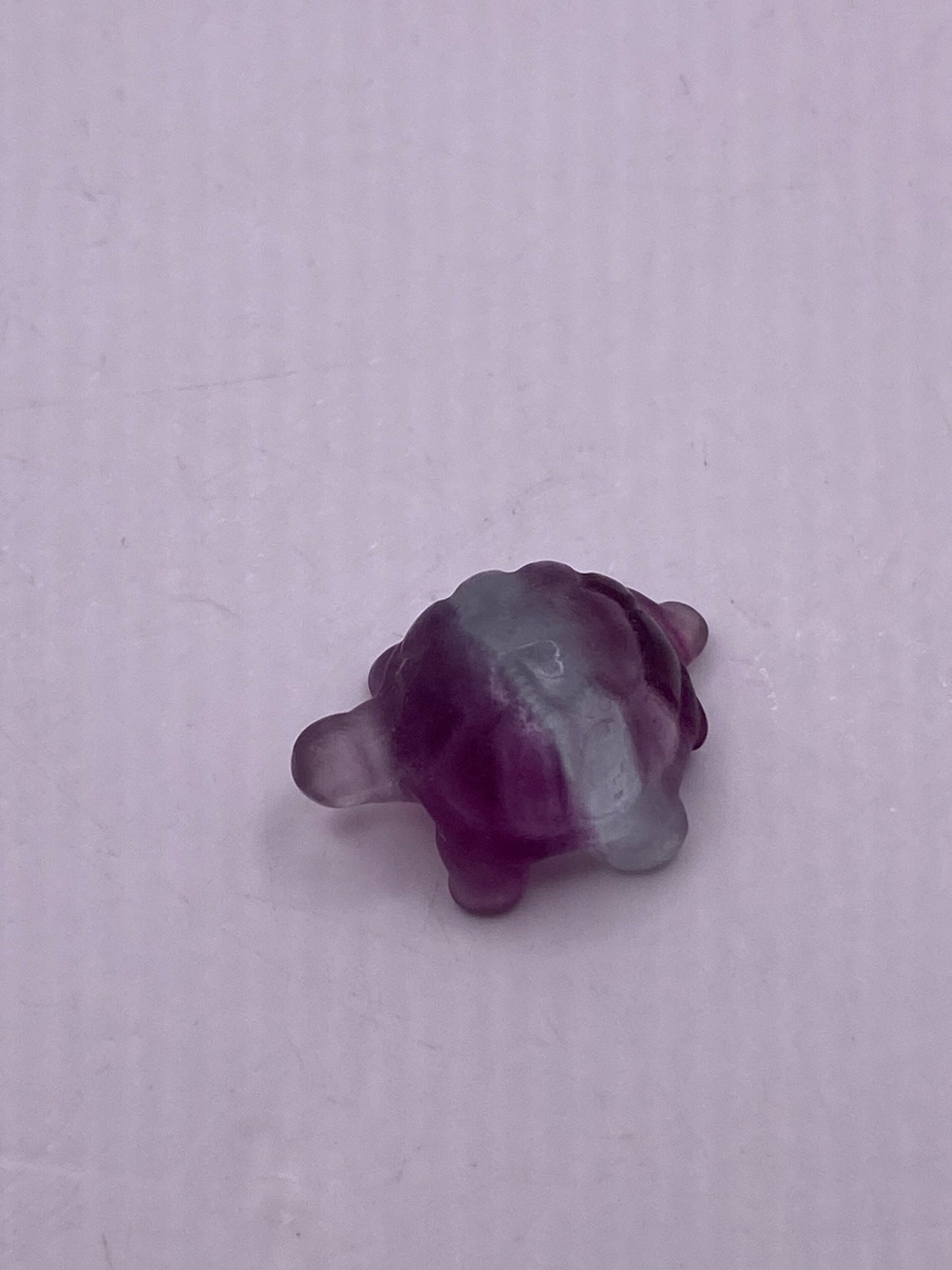 Fluorite mini turtle