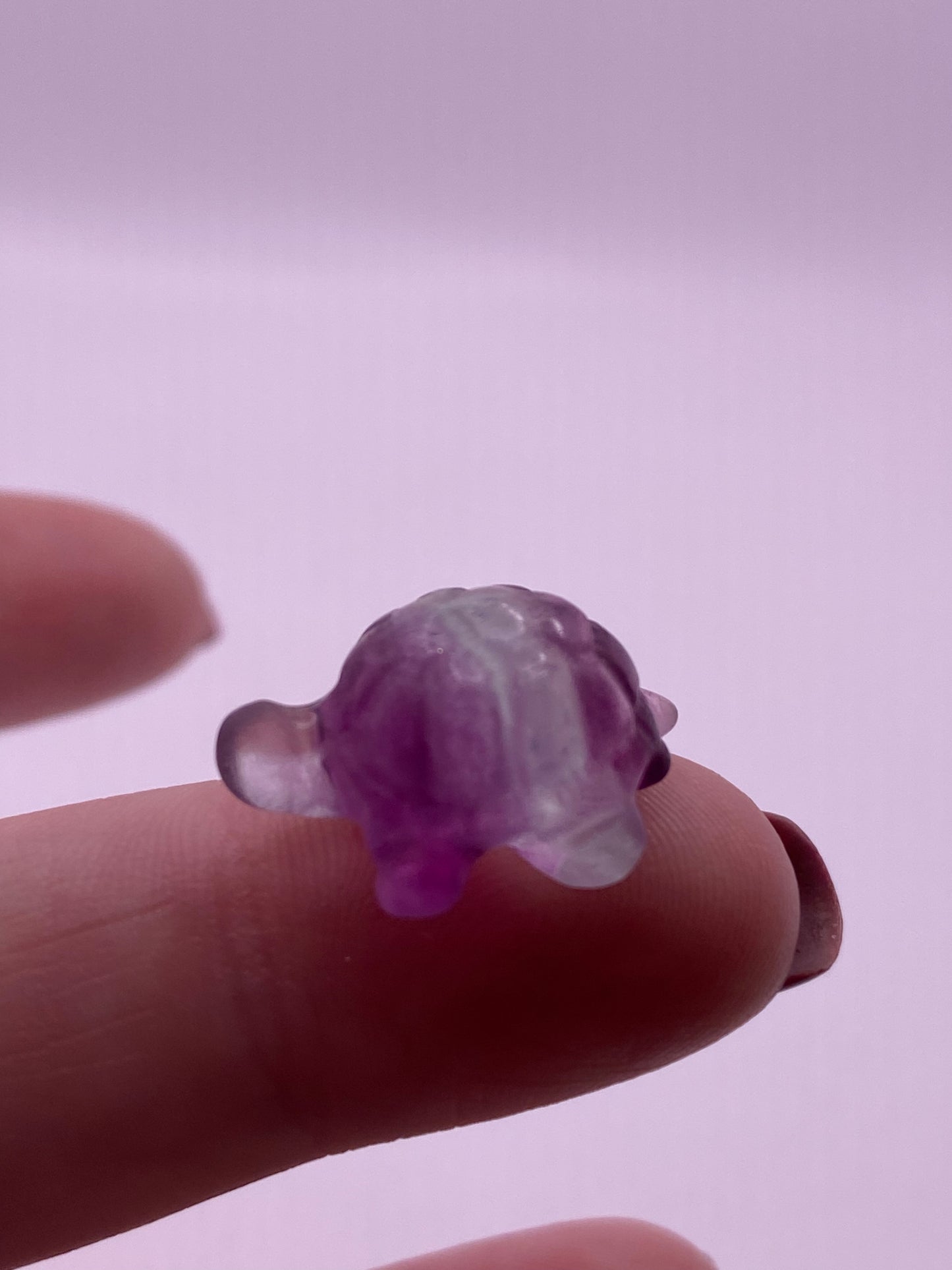 Fluorite mini turtle