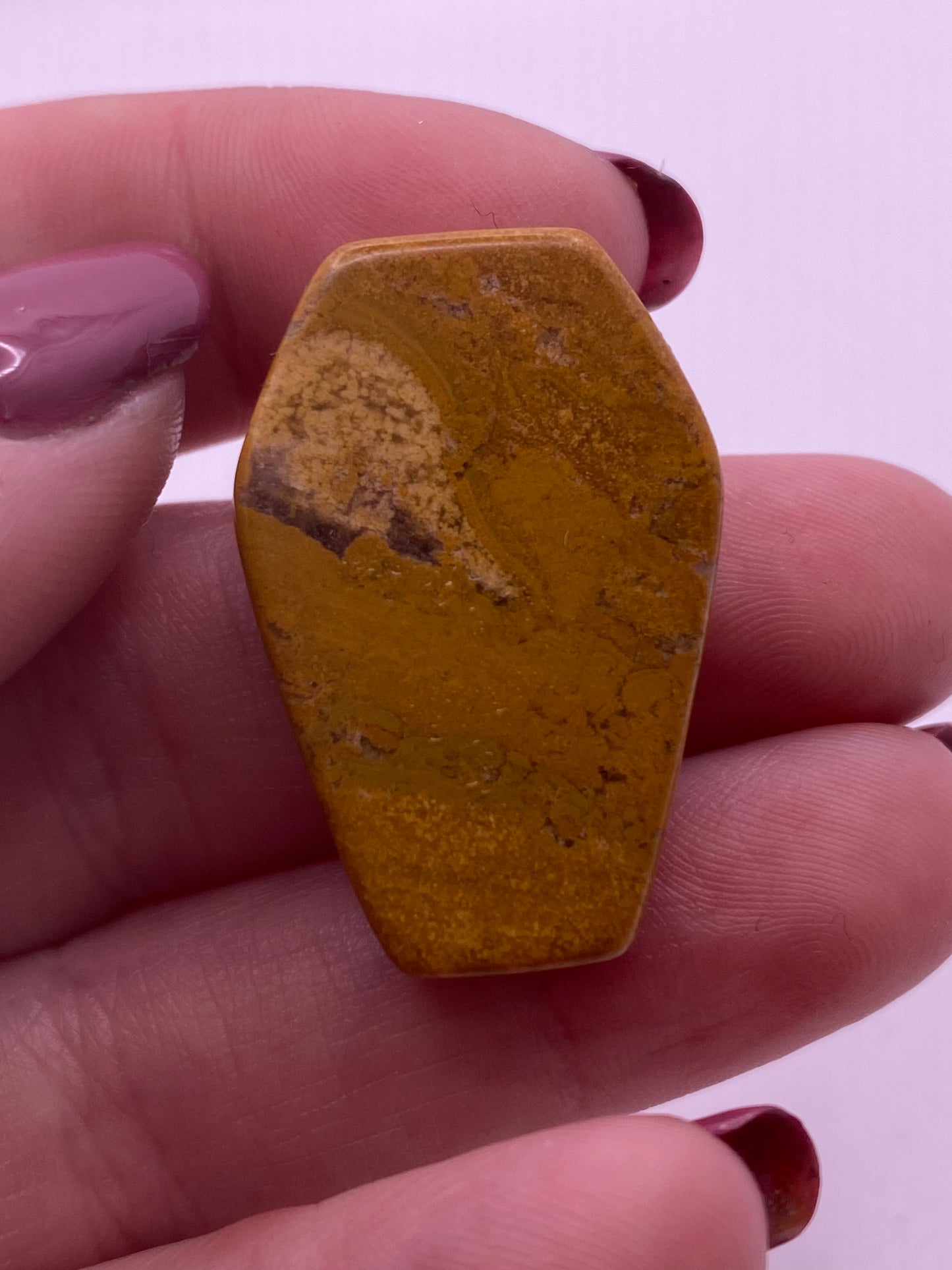 Picture Jasper Crystal Coffin