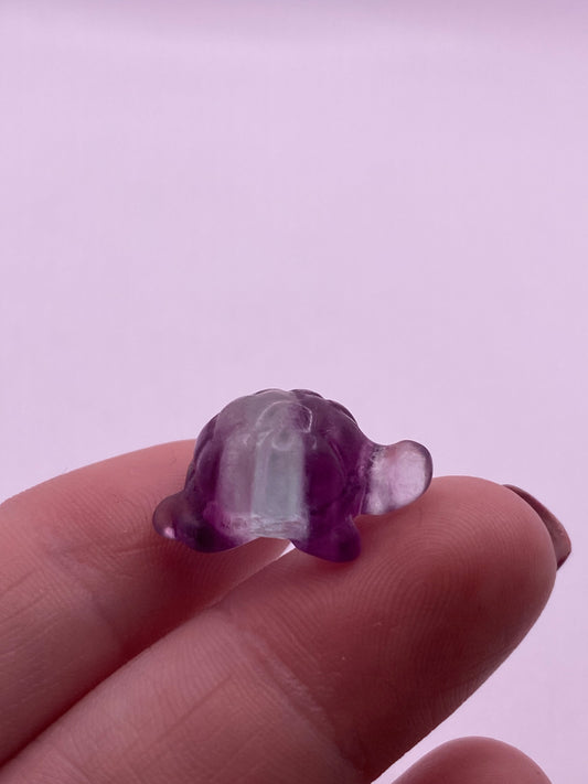 Fluorite mini turtle