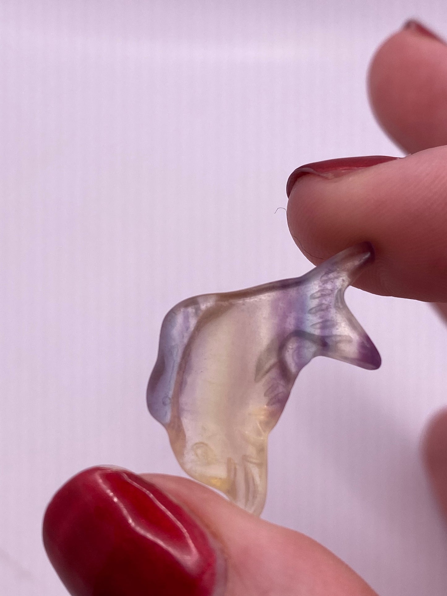 Mini fluorite dolphin carving