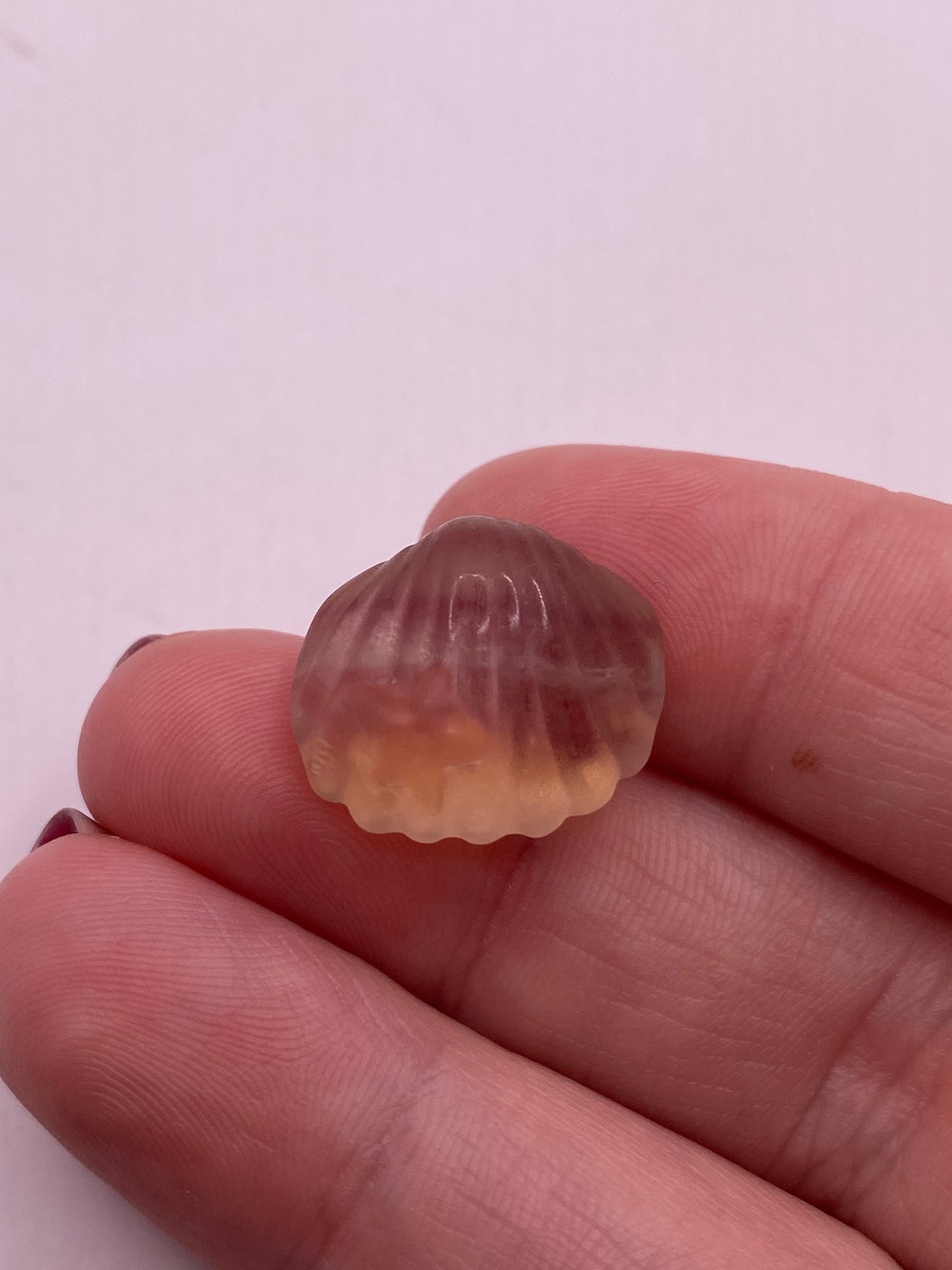 Mini fluorite clam with starfish carving