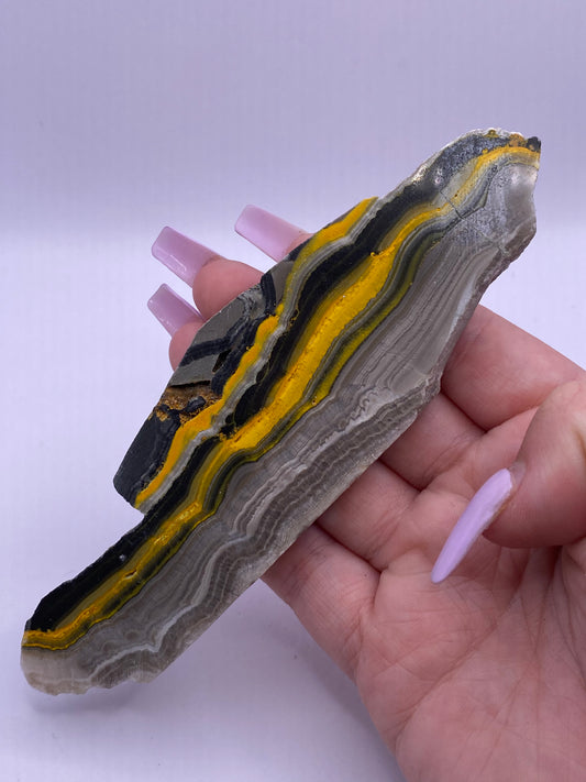 Bumblebee Jasper Slab