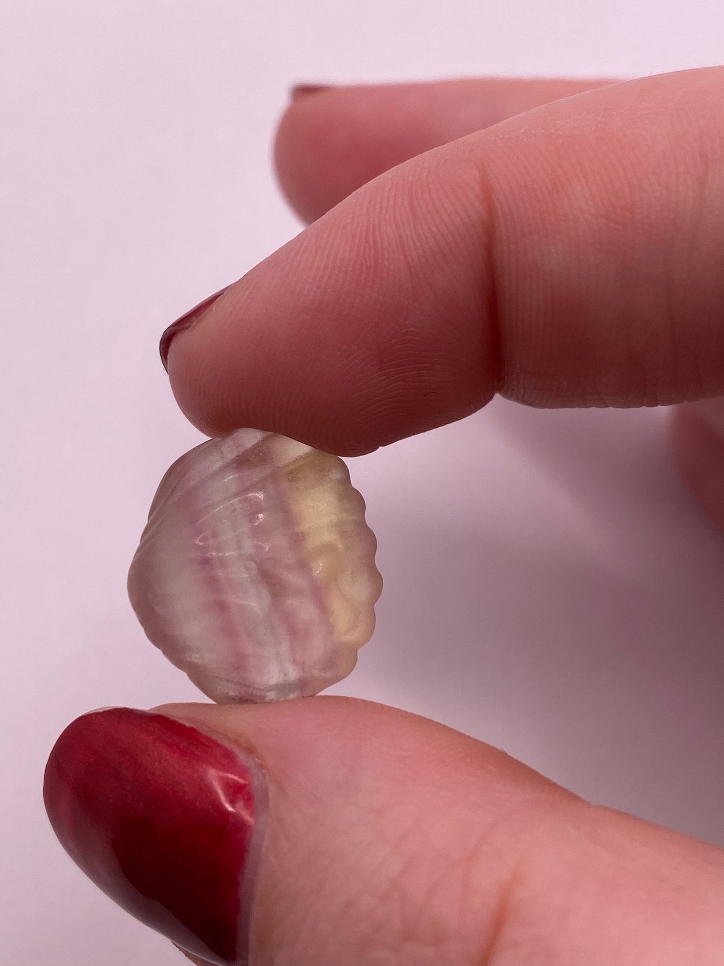 Mini fluorite clam with starfish carving