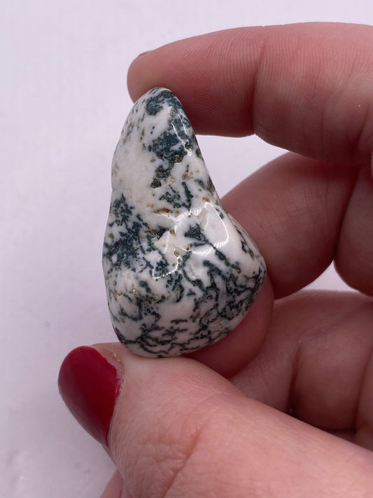 Tree agate tumble