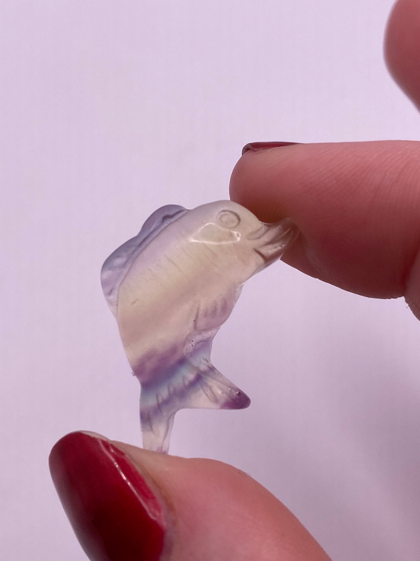 Mini fluorite dolphin carving