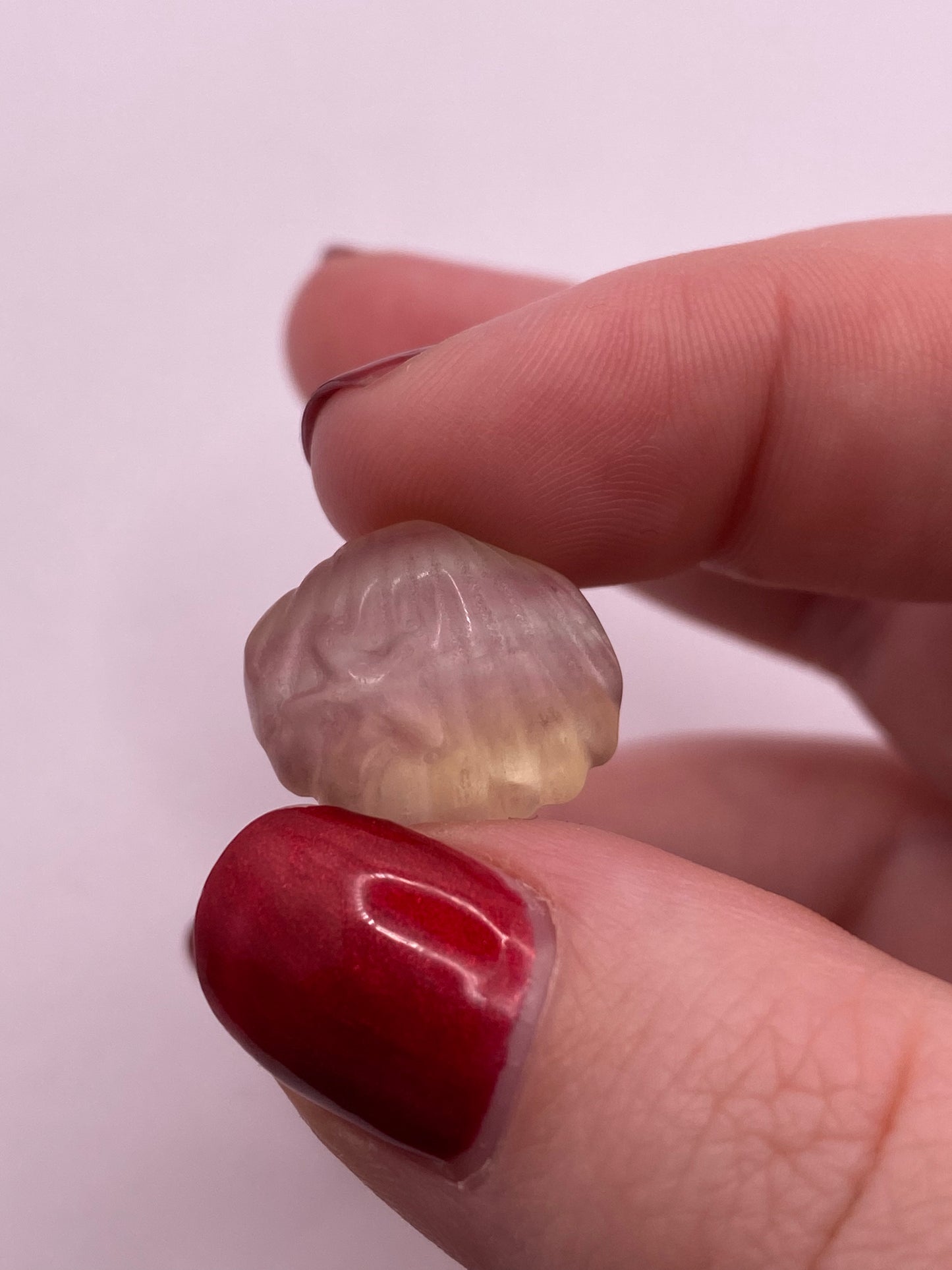 Mini fluorite clam with starfish carving