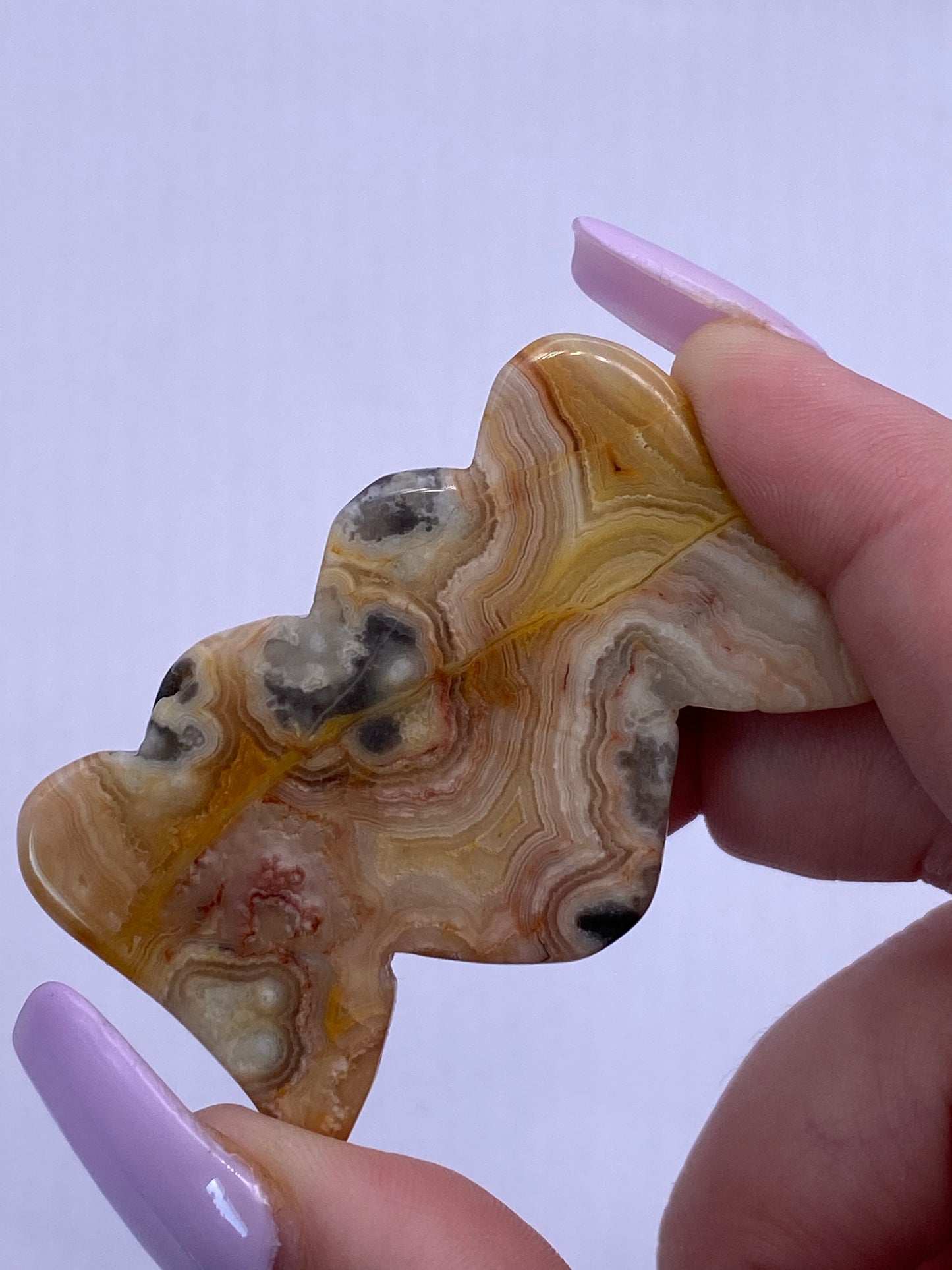 Crazy Lace Agate Heart With Wings