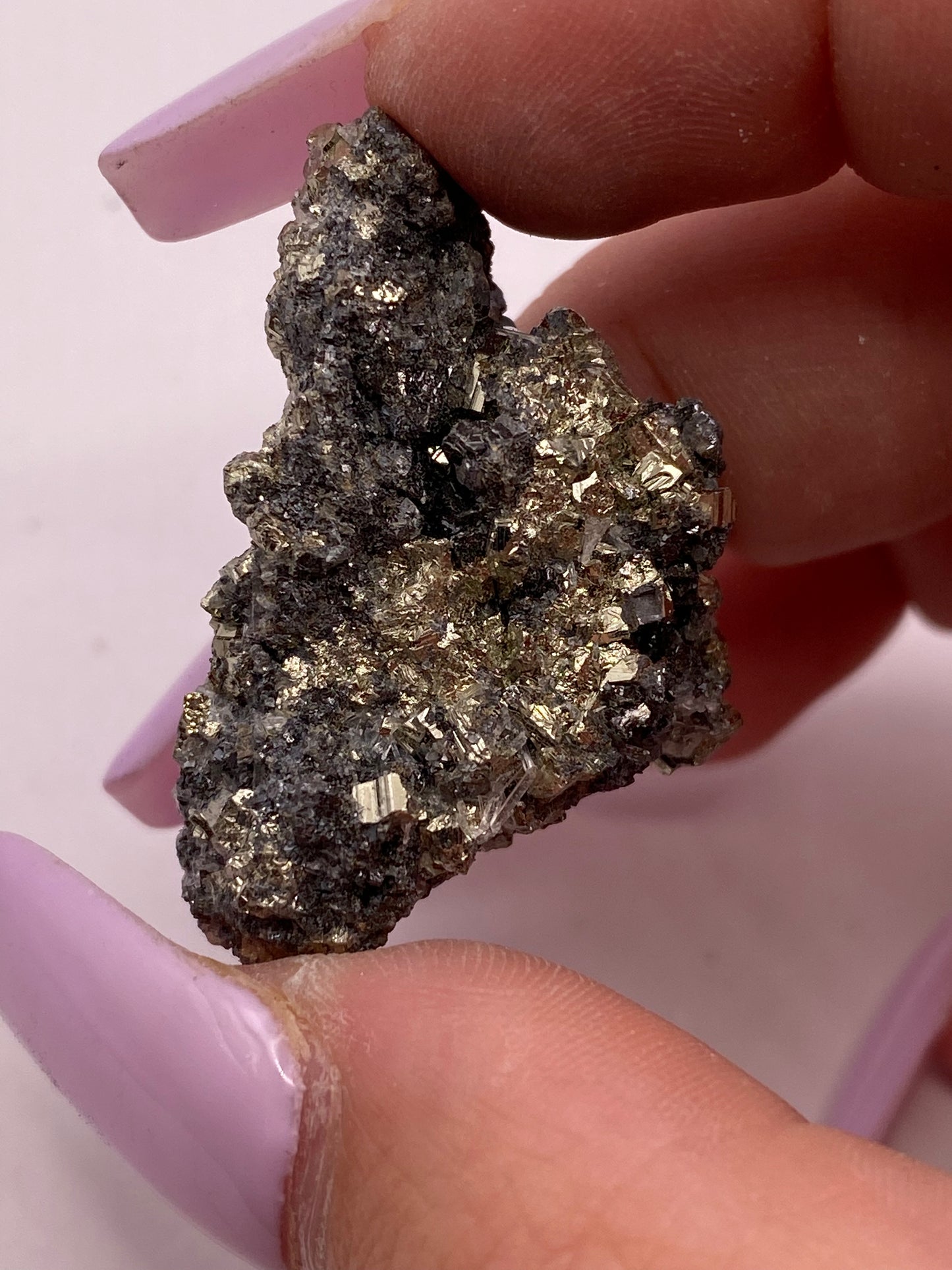 Pyrite and Galena Cluster