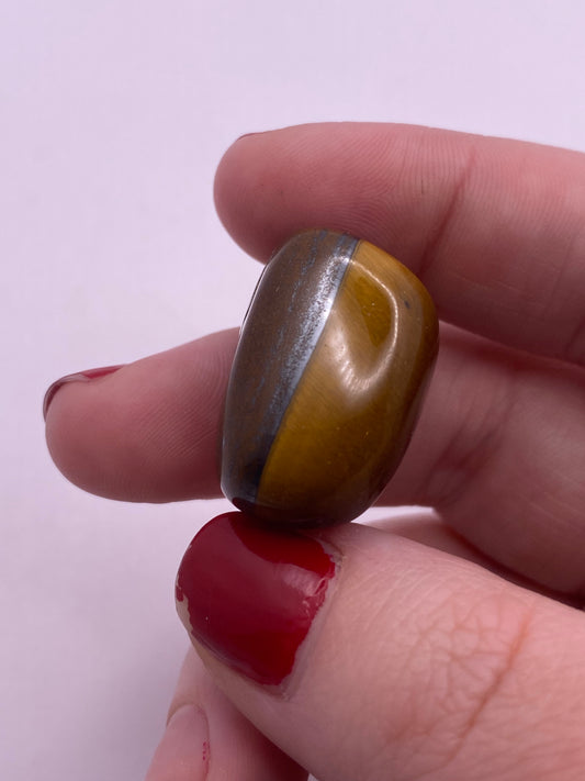 Tigers eye Tumble