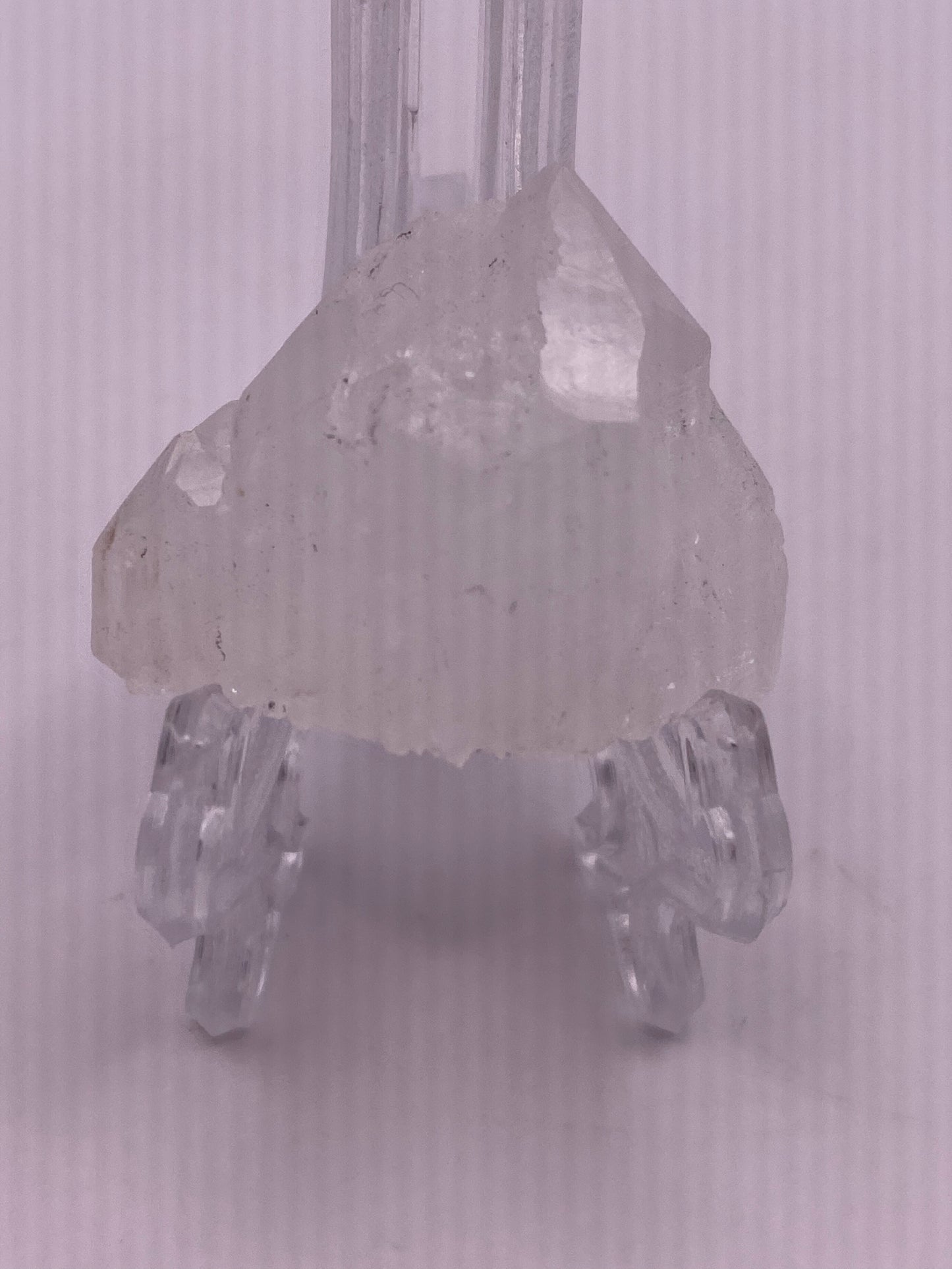 Cactus Quartz