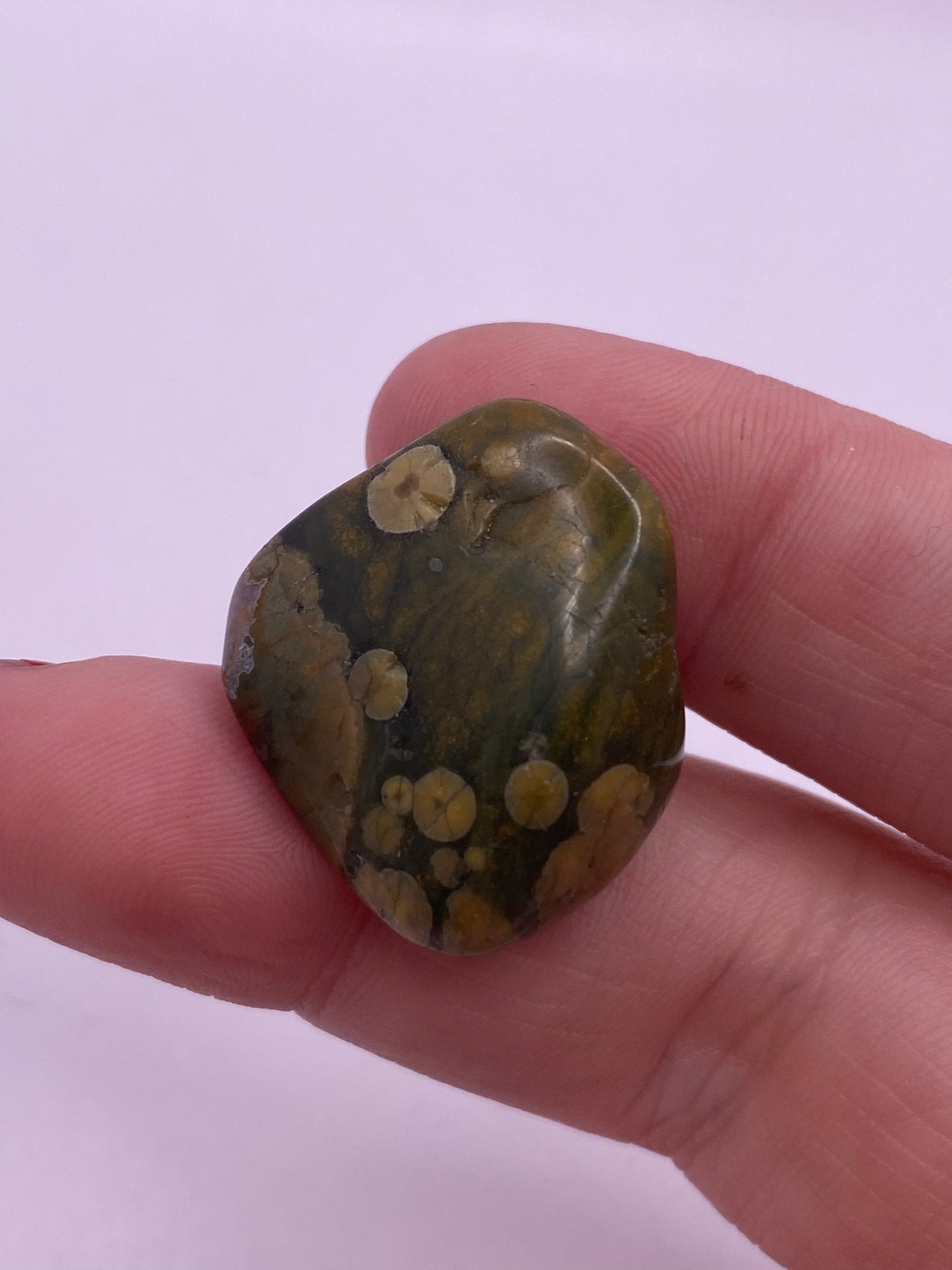 Rainforest Jasper tumble