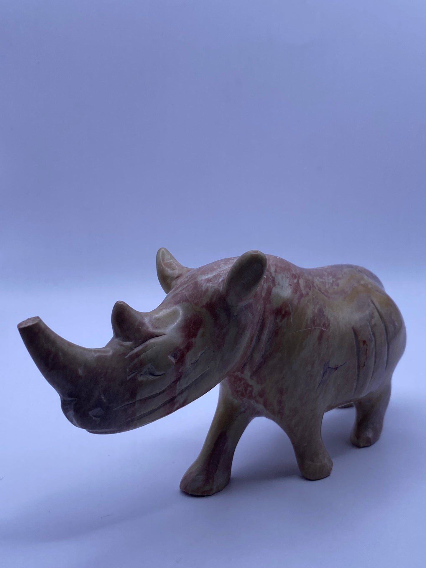 Picture Jasper Rhino