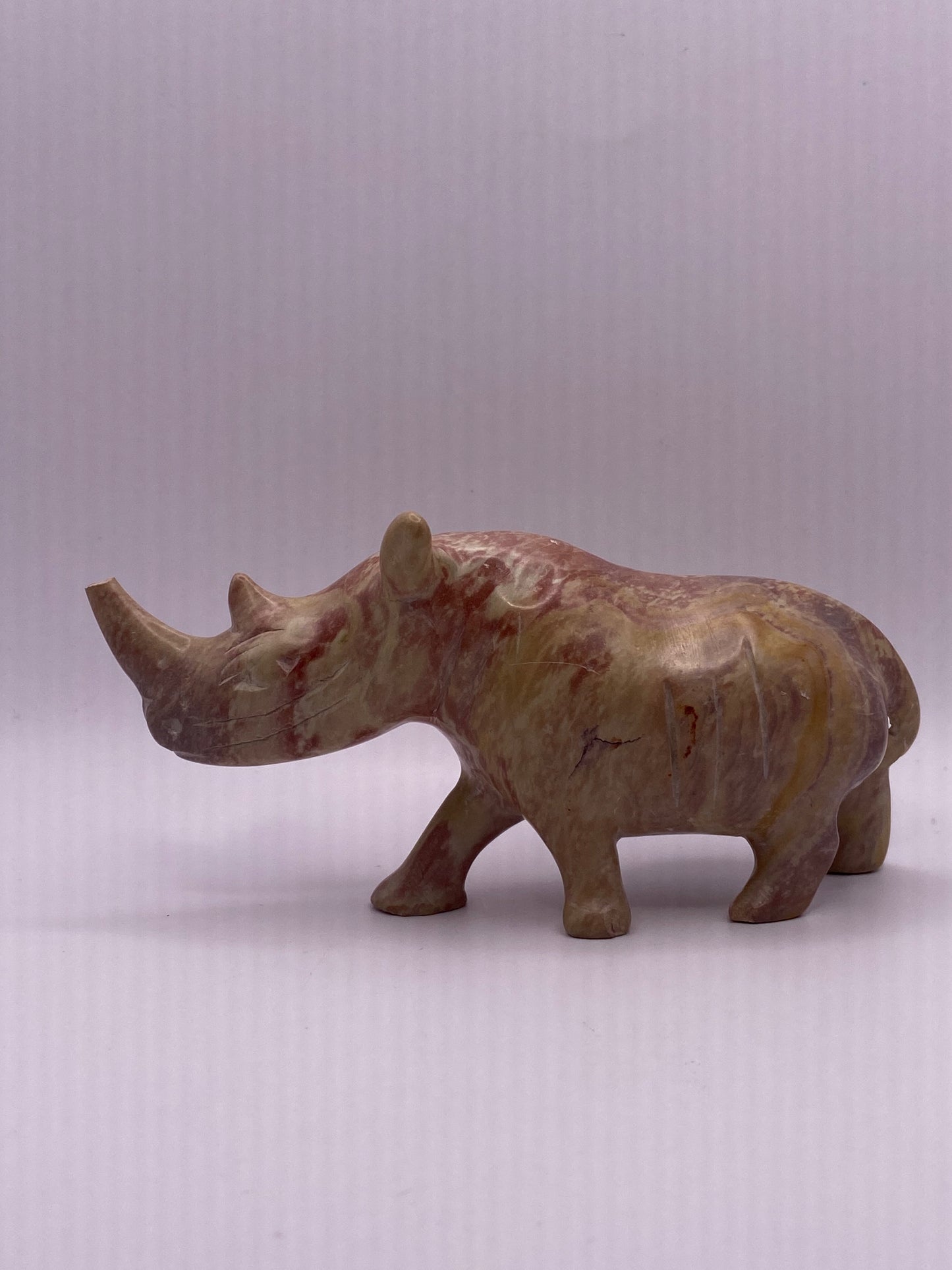 Picture Jasper Rhino