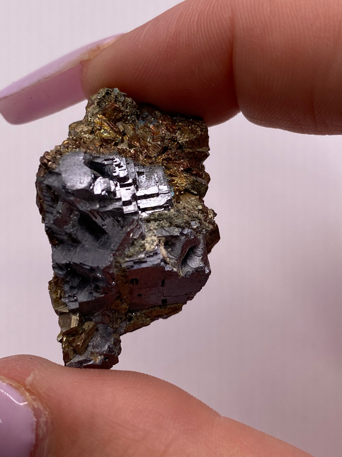 Iridescent Pyrite and Galena Cluster