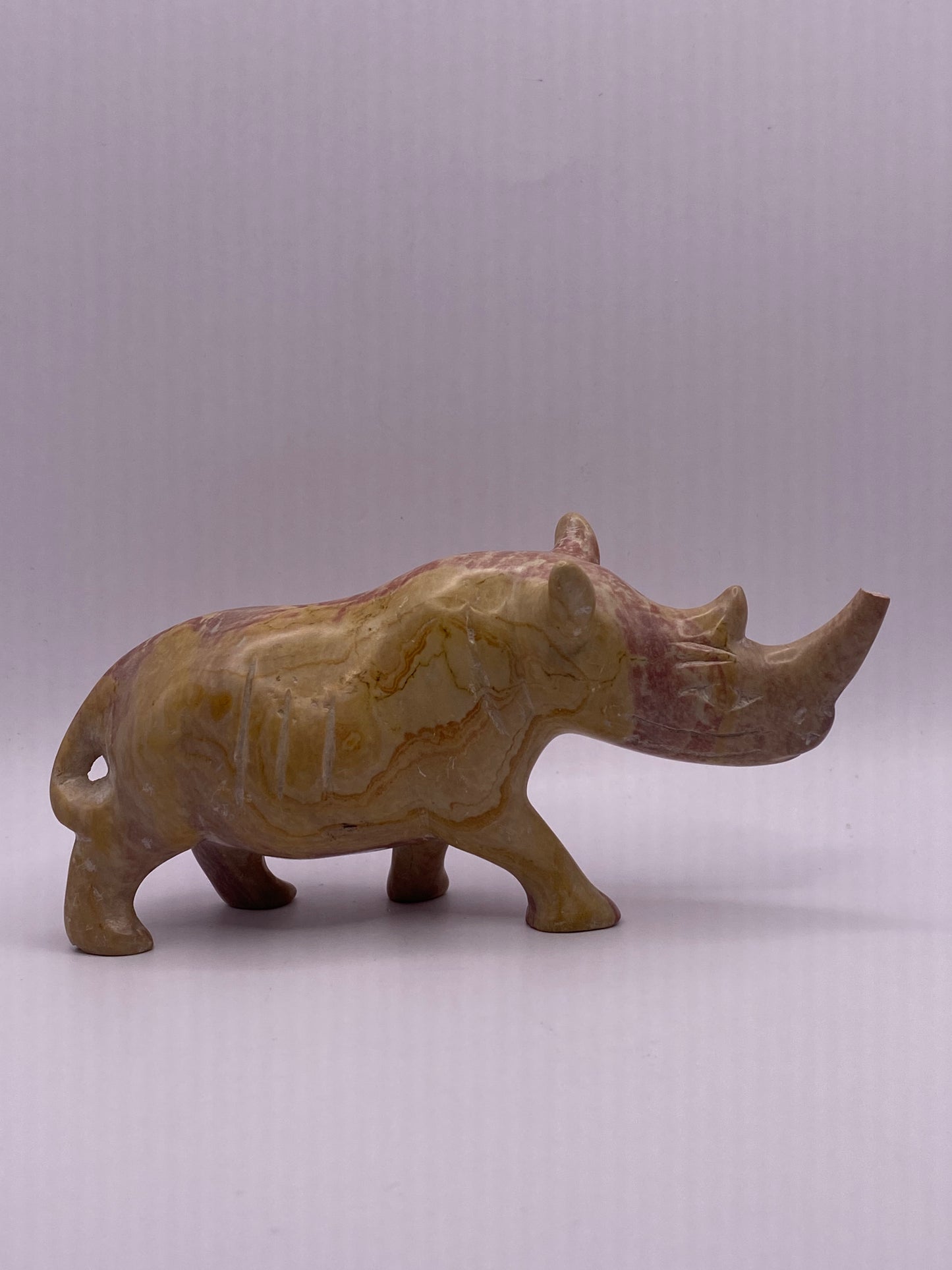 Picture Jasper Rhino