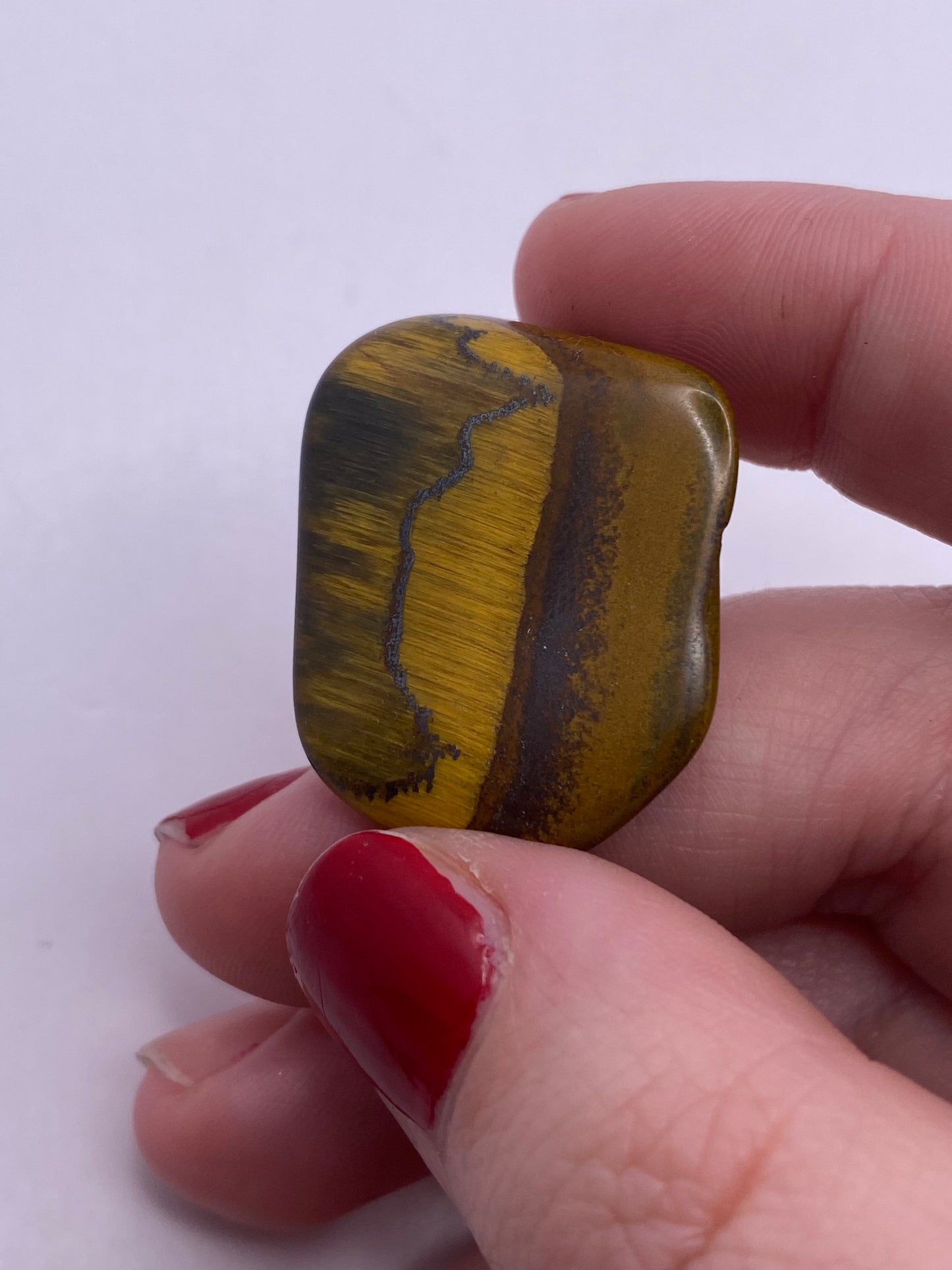 Tigers eye Tumble