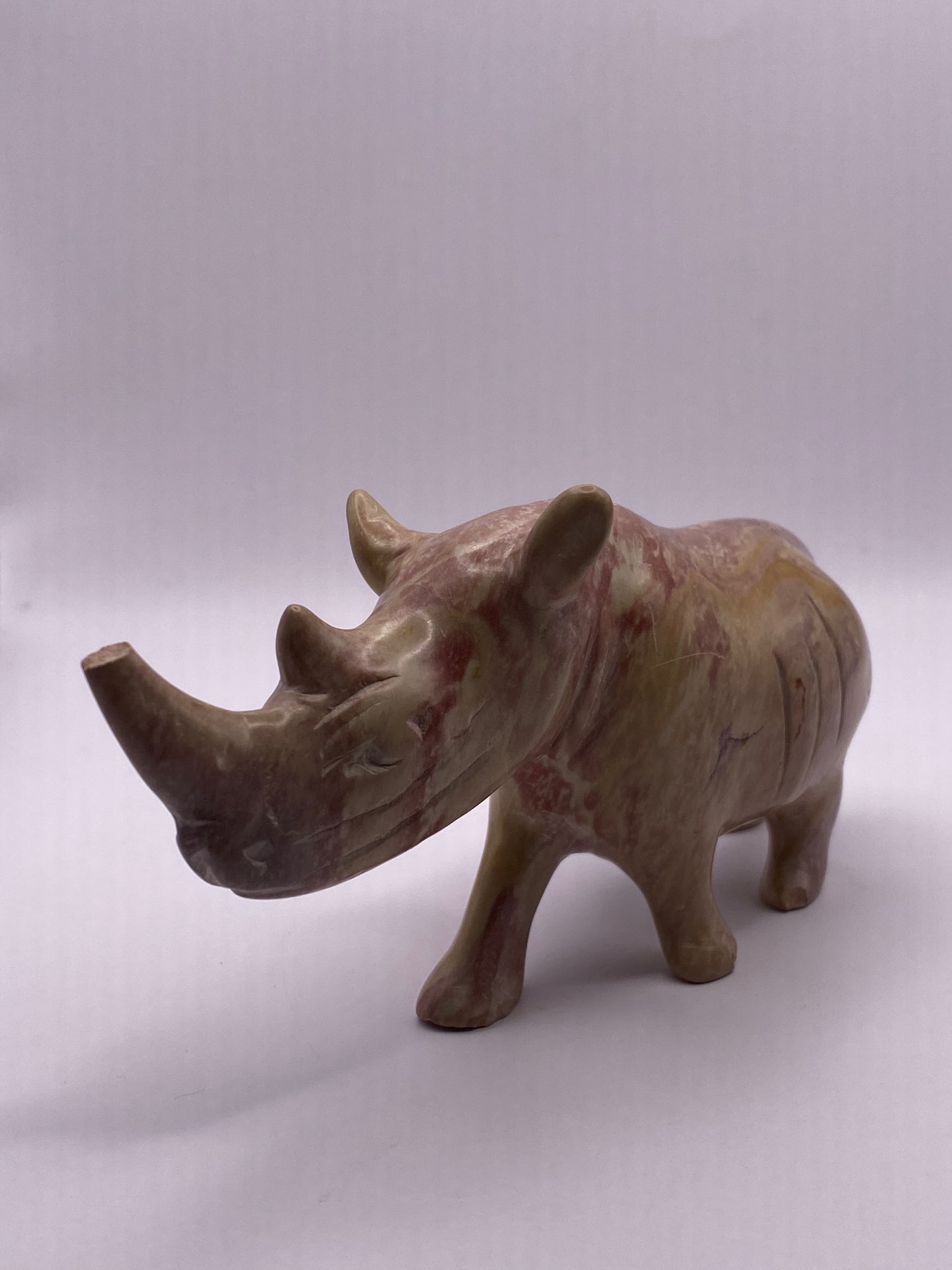 Picture Jasper Rhino