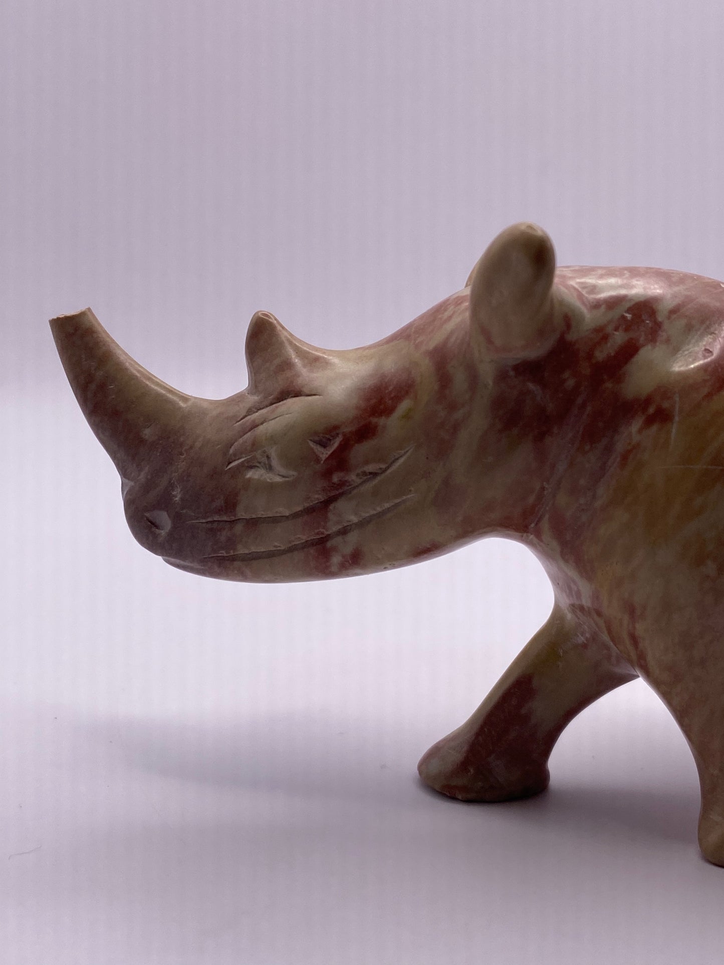 Picture Jasper Rhino