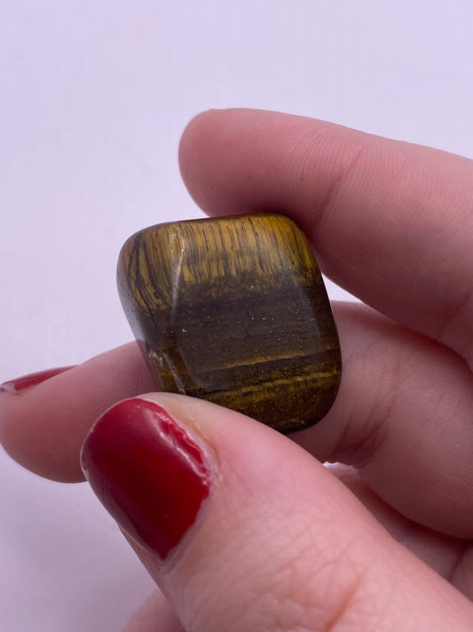 Tigers eye Tumble