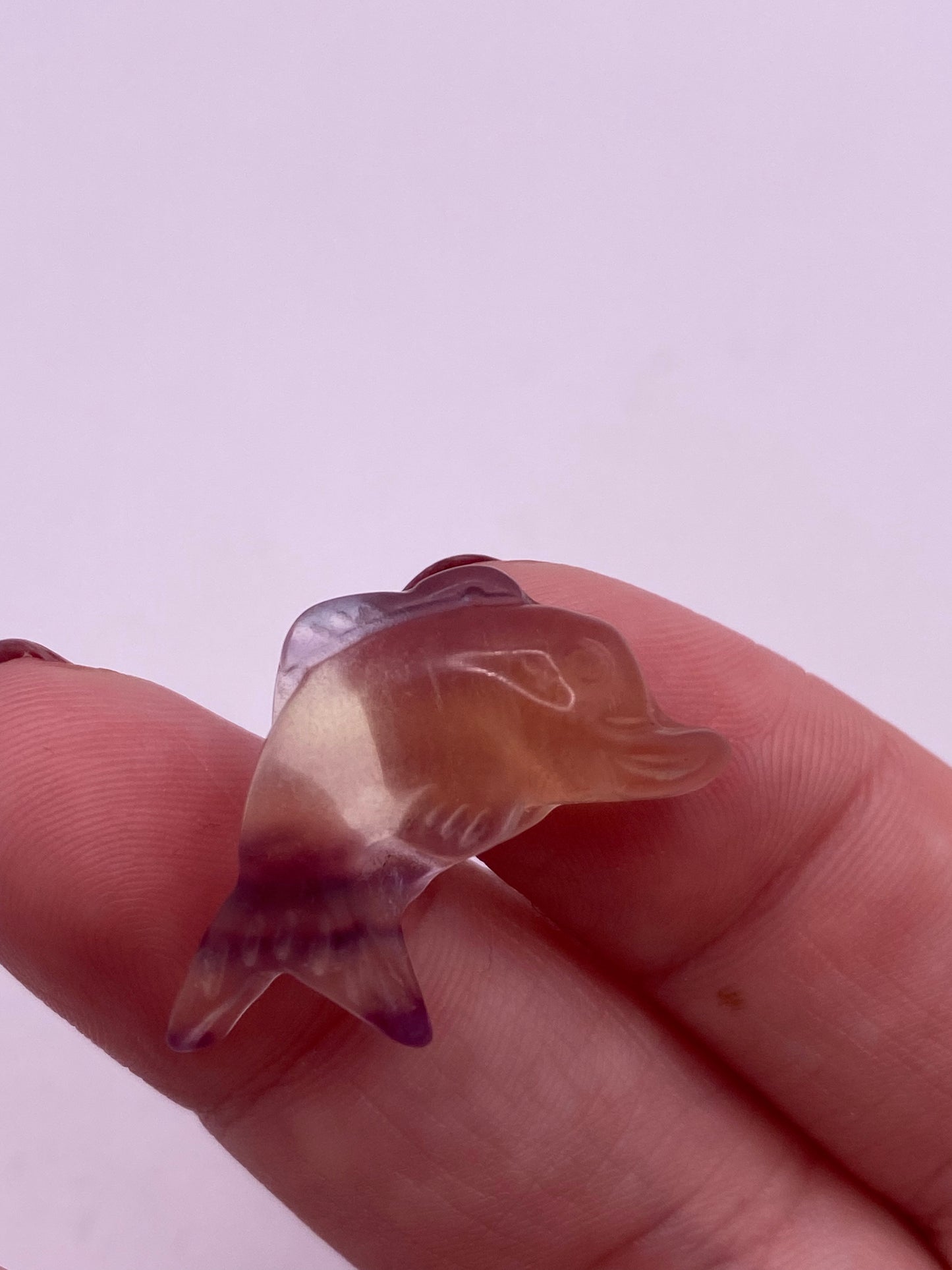 Mini fluorite dolphin carving