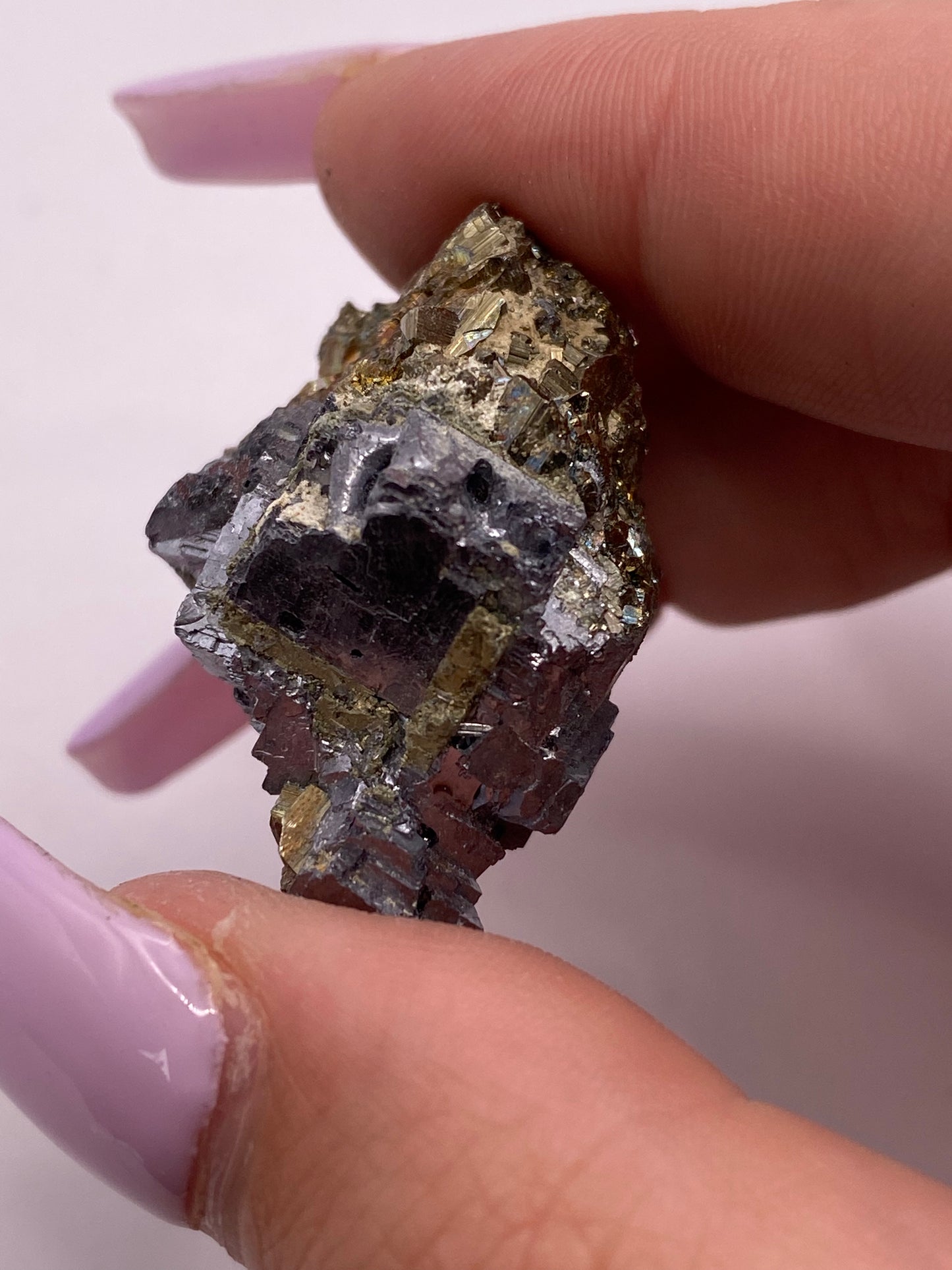 Iridescent Pyrite and Galena Cluster