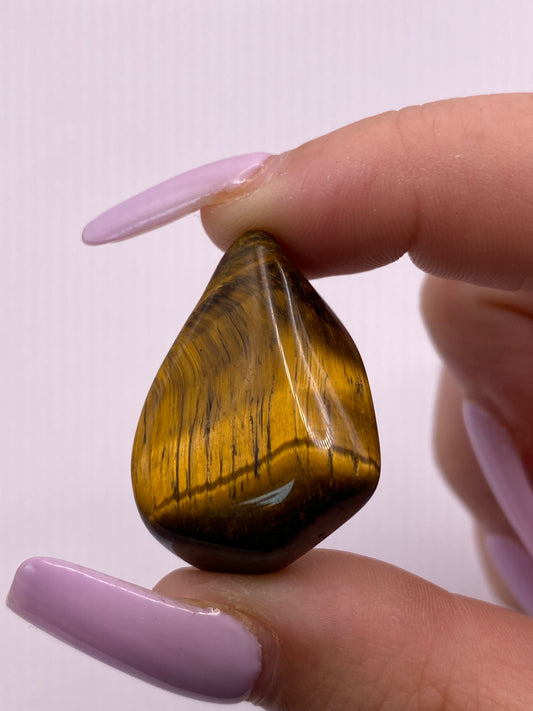 Tigers Eye Tumble