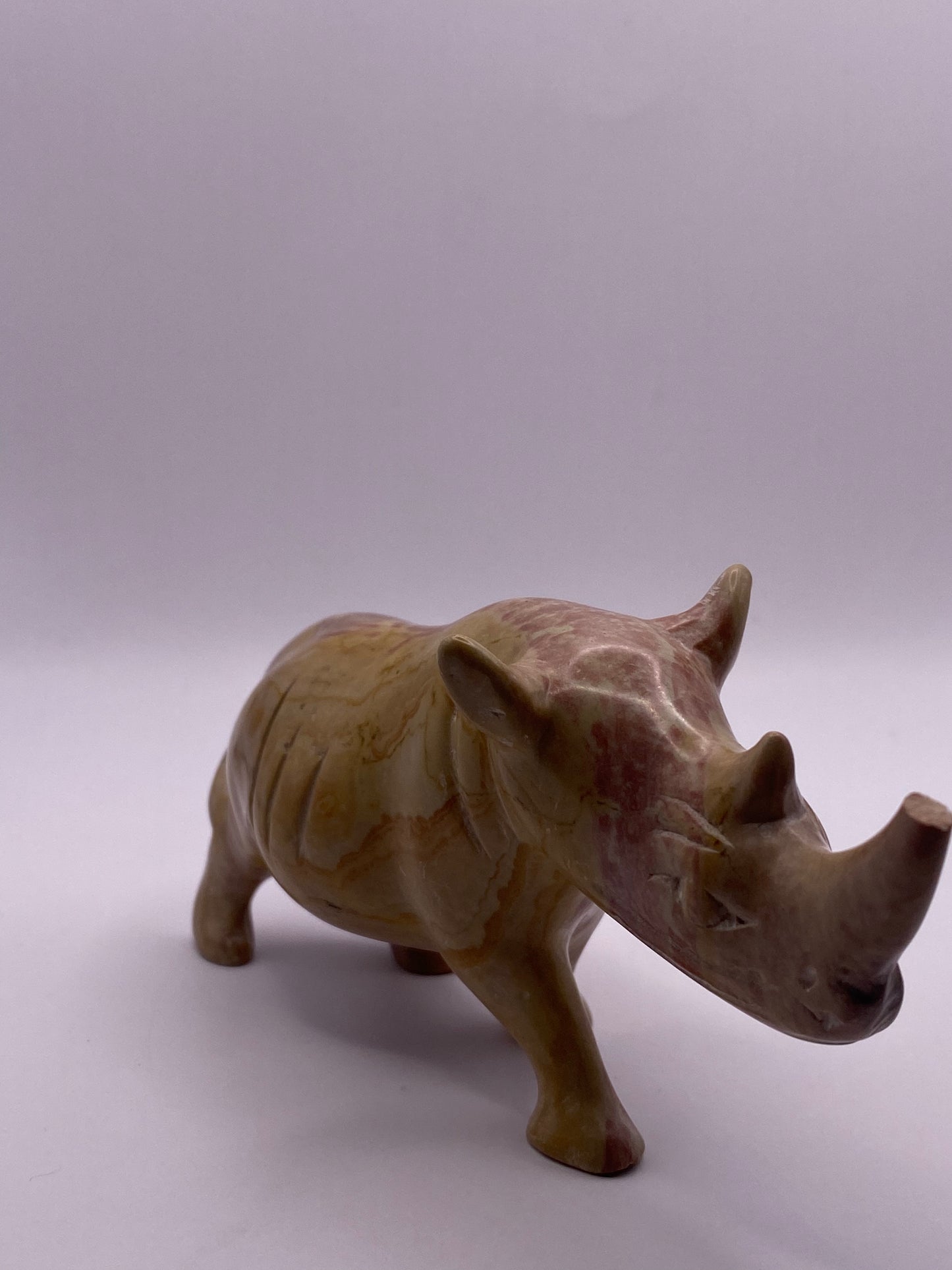 Picture Jasper Rhino