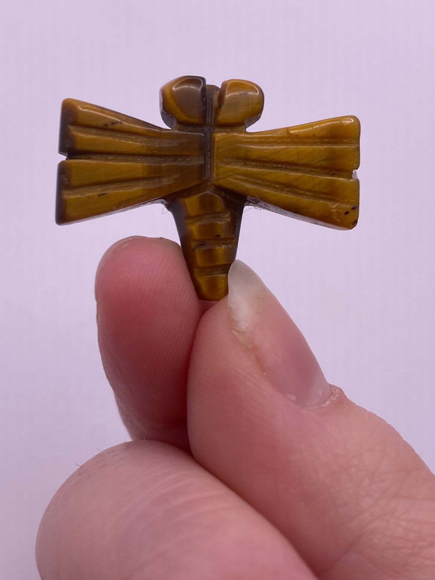 Tiger’s eye dragonfly