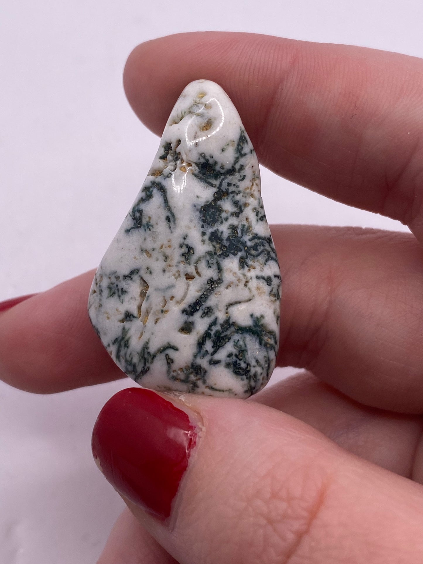 Tree agate tumble