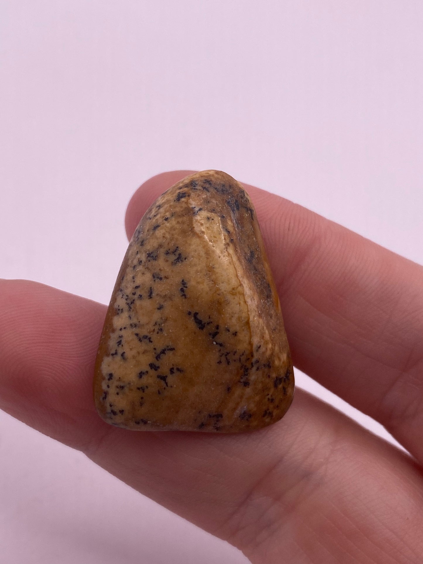 Picture Jasper tumble