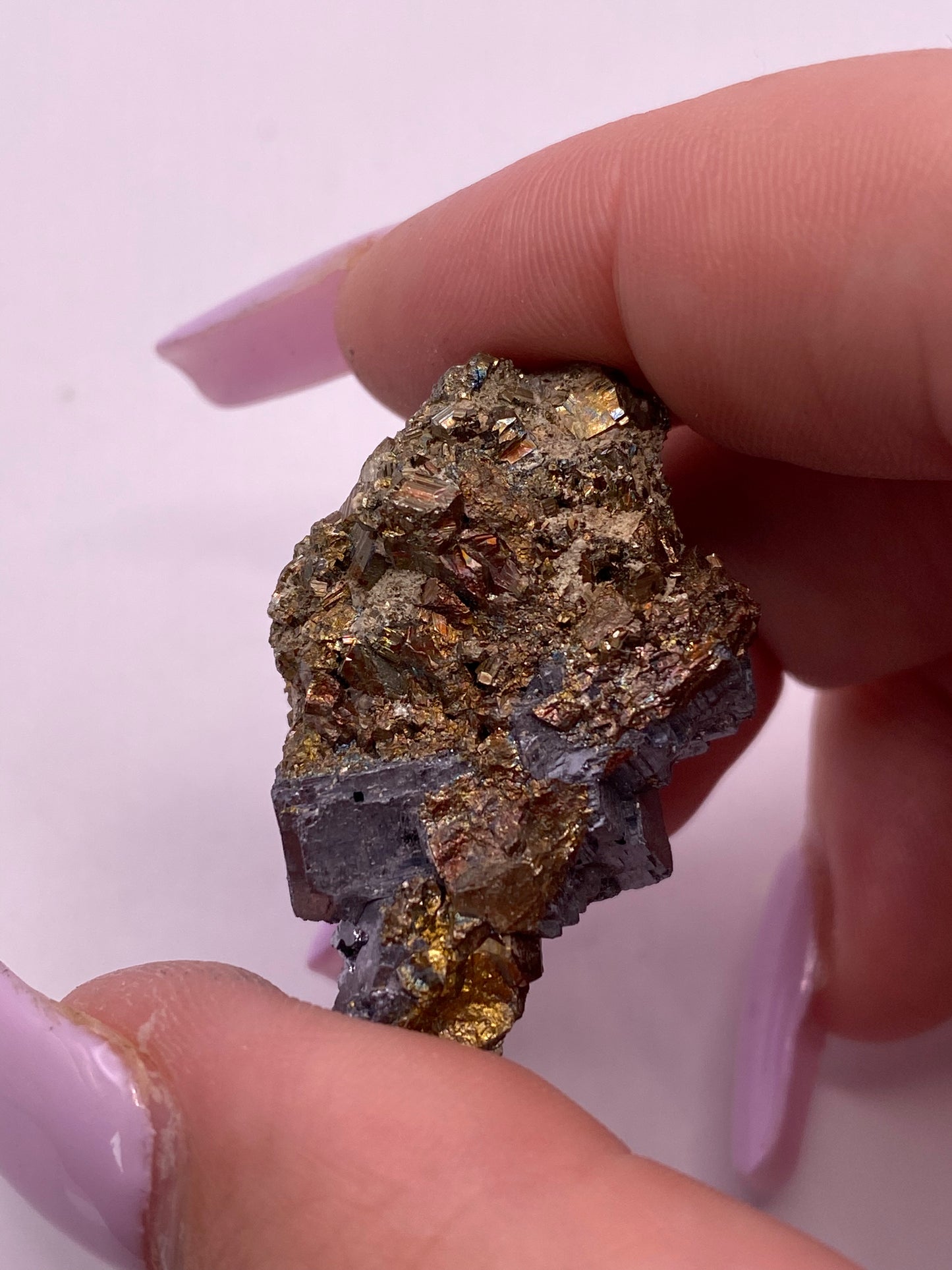 Iridescent Pyrite and Galena Cluster