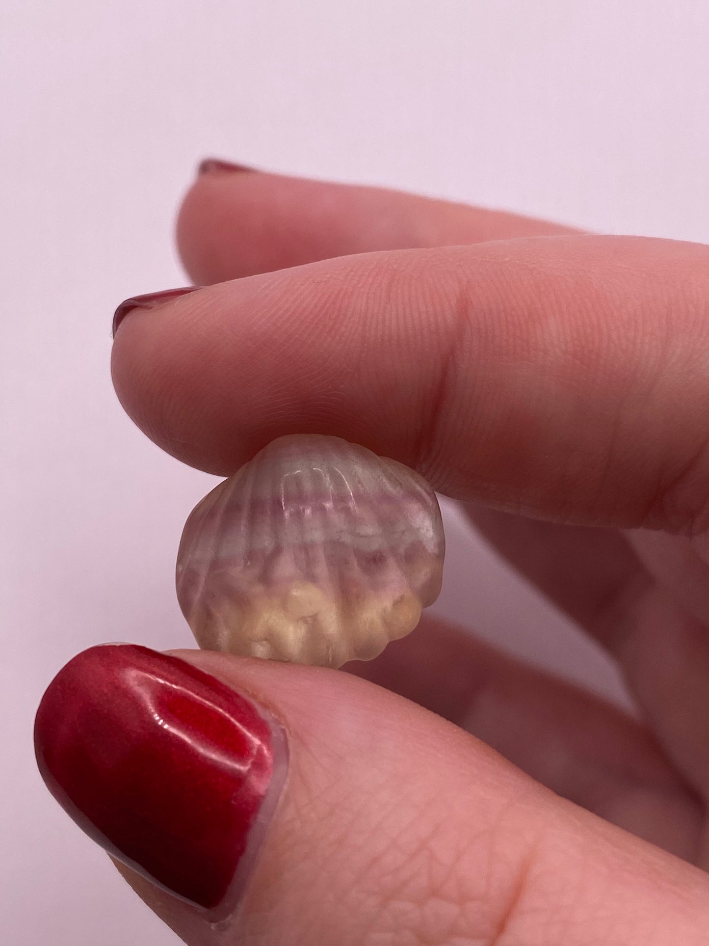 Mini fluorite clam with starfish carving