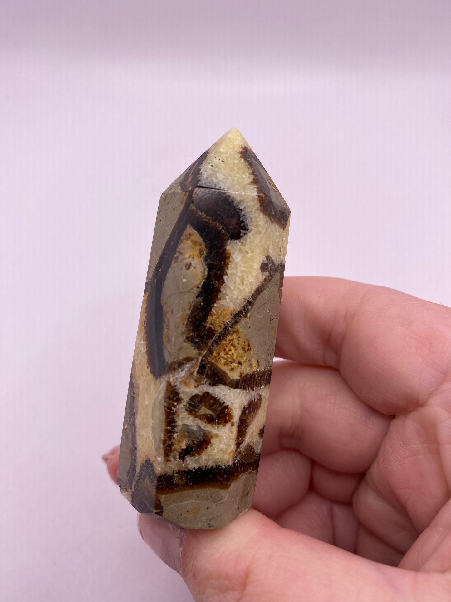 Septarian Tower