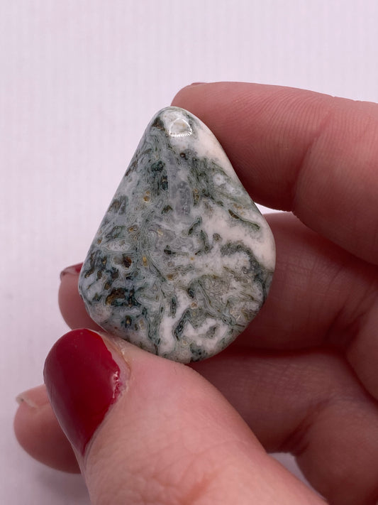 Tree agate tumble