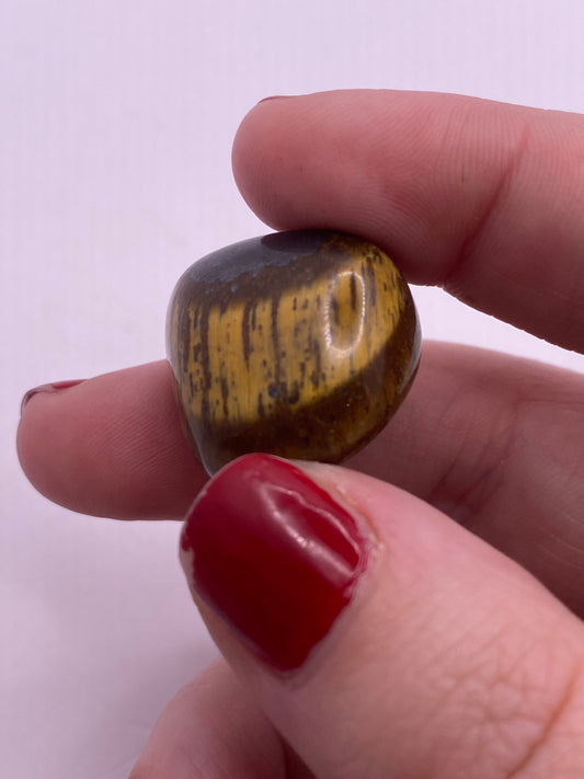 Tigers eye Tumble