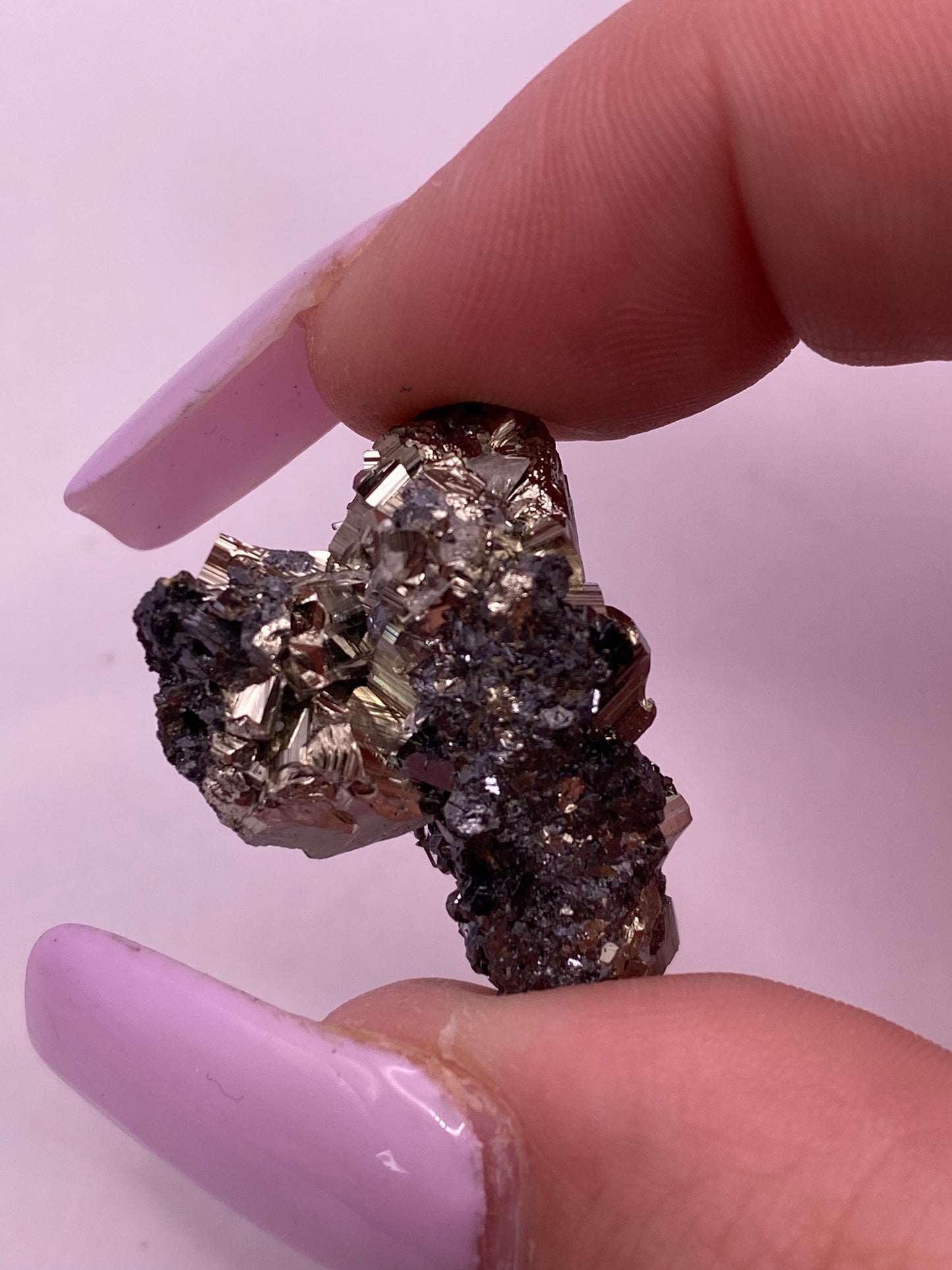 Pyrite and Galena Cluster