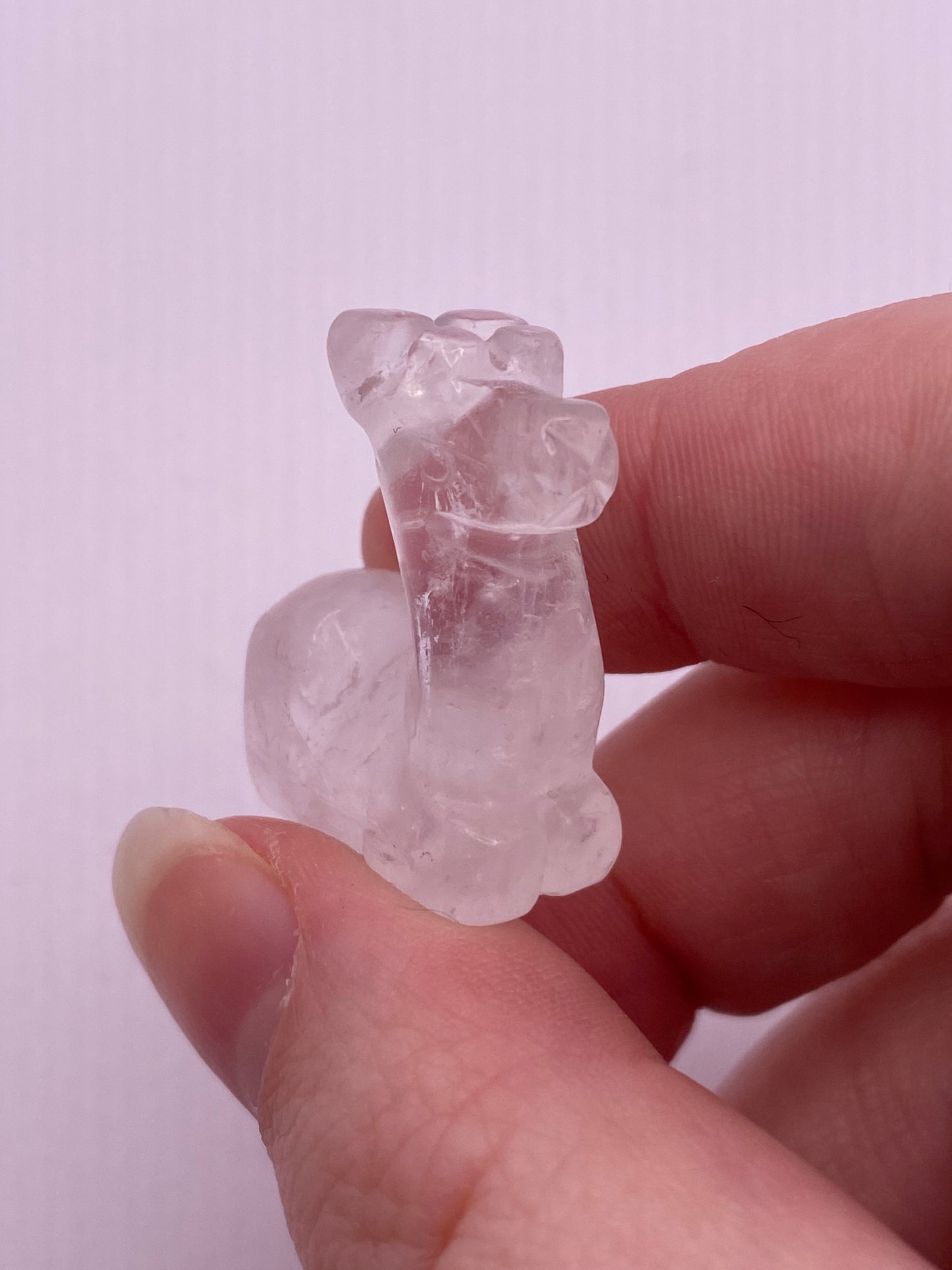 Clear Quartz Crystal Camel