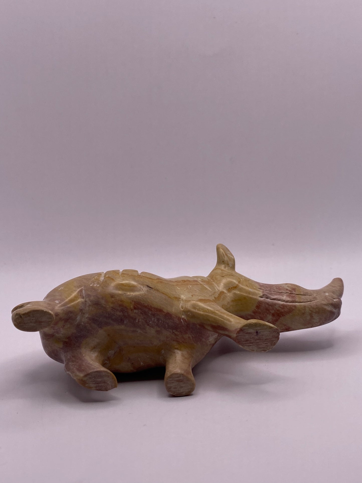 Picture Jasper Rhino