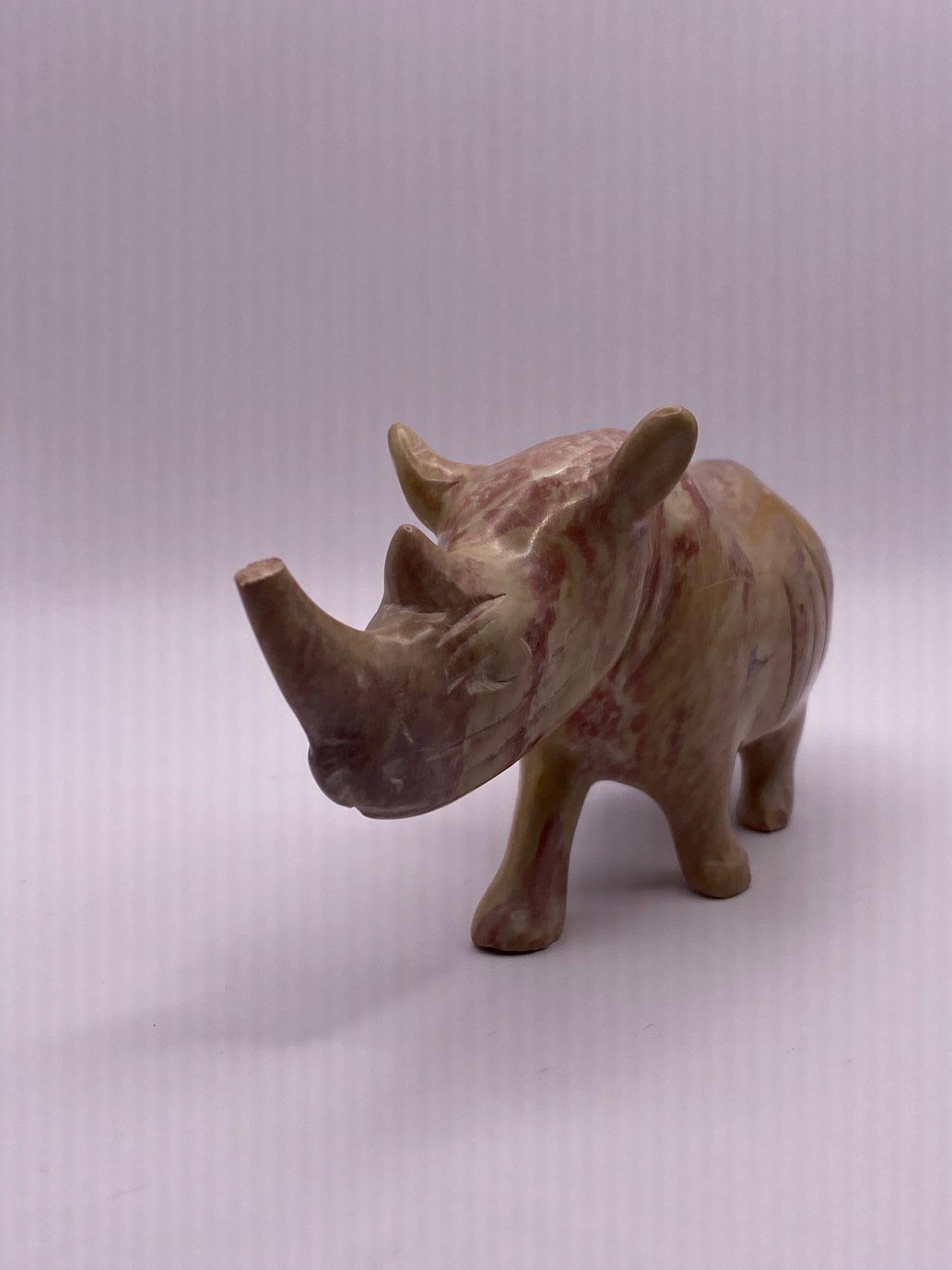 Picture Jasper Rhino